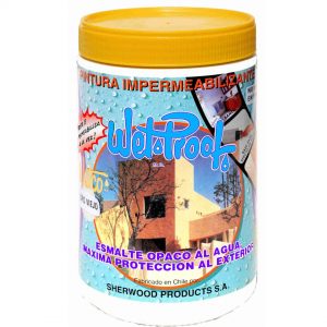 Pintura Impermeabilizante 1lt