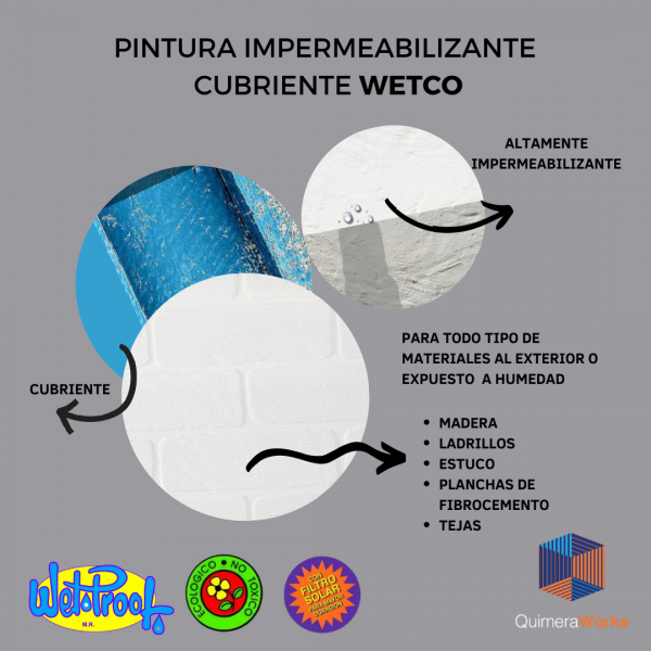 Pintura Impermeabilizante 1lt - Imagen 11
